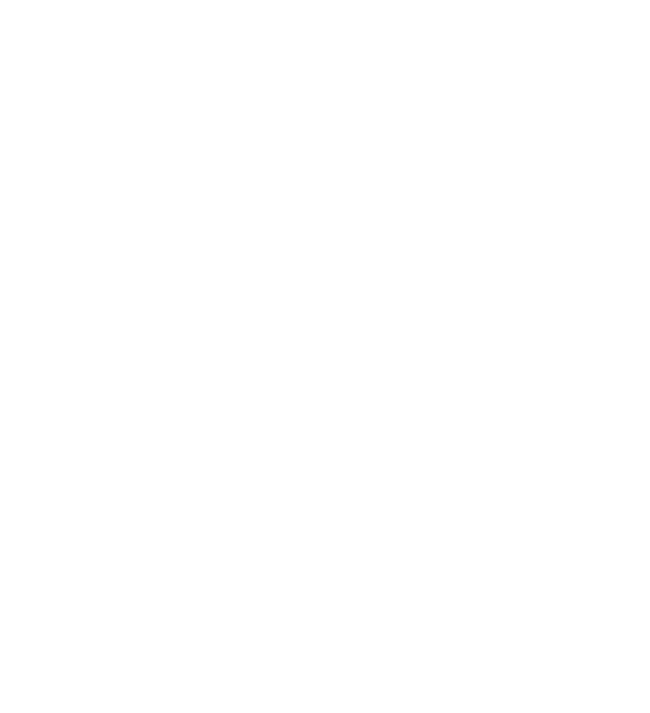 Logo Hockey Camp 95